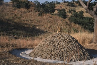 NIGERIA, Agriculture, Stack of harvested Sorghum.