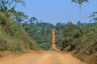 BRAZIL, Para, Trans Amazonian highway between Altanira and Itaituba looking west.
