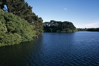 UNITED KINGDOM, Channel Islands, Guernsey, St Saviours Reservoir with fishermen wading in water
