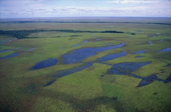 COLOMBIA, Casanare, Llanos wetlands during rainy season.