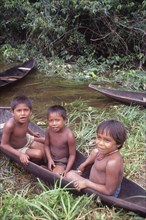 COLOMBIA, Vaupes, Three tukano Indian boys sat in canoe.