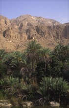 OMAN, Tiwi, "Wadi, an area of natural water in the desert, palm trees and a mountain in the