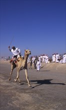 OMAN, Central, Participant in annual 50km camel race across the desert.