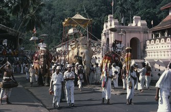 SRI LANKA, Kandy, Kandy Esala Perahera.  Procession to honour sacred tooth ehshrined in the Dalada