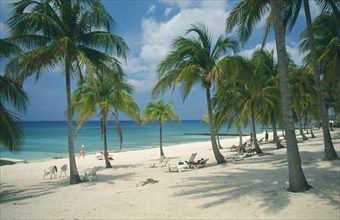 CUBA, Pinar del Rio, Maria la Gorda, Sandy beach with people sunbathing amongst palm trees looking
