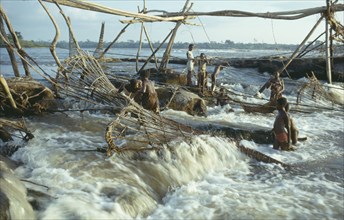CONGO, Wagania, Women and children fishing in the River Congo.