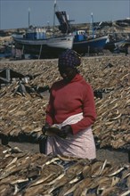 ANGOLA, Industry, Fish, Woman laying out fish to dry with line of moored fishing boats behind.