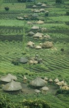RWANDA, Farmland, Small thatched farmsteads and cultivated land.