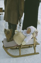 SWITZERLAND, Children, Baby, Wrapped up baby and Yorkshire Terrier on wooden sledge on snow covered
