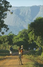 MALAWI, Mulanje, People walking along path in area of tea growing and subsistence farming with