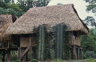 ECUADOR, San Pablo de Kantesiya, Amazonian Indians hut with roof thatched with leaves.