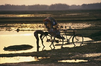 20073171 BANGLADESH  Sylhet Man cleaning rickshaw in flood water silhouetted against golden sunset reflected in water.