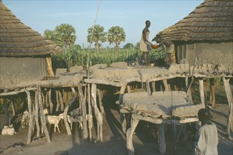 SUDAN, People, Two Dinka dwellings raised on tree trunks to survive heavy rain during the wet