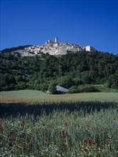 ITALY, Abruzzo, Castel del Monte, "The village on side of a hill, surounded by trees,  viewed over