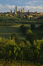 ITALY, Tuscany, San Gimignano, View towards towers on San Gimignano with vineyards in the