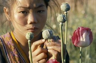 THAILAND, People, Women, Hill tribe girl holding poppy seed head oozing with raw opium.