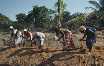 MOZAMBIQUE, People, UNILO road refurbishment.  Line of female labourers.