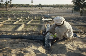 SUDAN, Kordofan Province, Agriculture, Man constructing irrigation channels for cultivated plots.