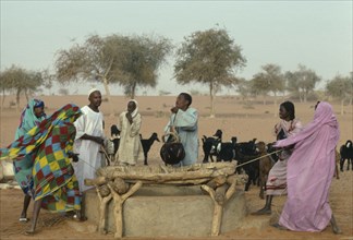 SUDAN, North Kordofan, Men and women with goat herd drawing water from well.