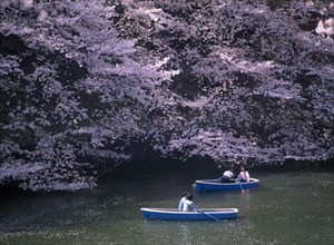 JAPAN, Honshu, Tokyo, Chidorigafuchi Park. Imperial Palace. Boating lake with people on blue boats
