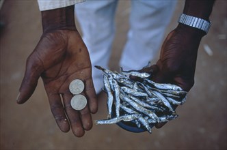 MALAWI, Mulanje, Peter Makfero travels 300km every fortnight to buy fish from Lake Malawi to resell