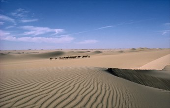 NIGER, Transport, Animals, Distant camel train crossing sand dunes.