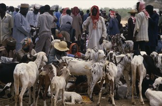 NIGER, Kollo, Men with goats for sale at market.