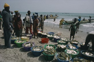 GAMBIA, Industry, Fishing, Fishing village with people on the beach with buckets of  the days catch