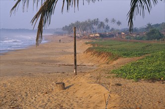 IVORY COAST, San Pedro, View along sandy beach with overhanging palm tree and green vegetation