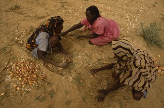 SUDAN, Farming, Women’s market gardening group.
