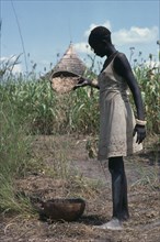 SUDAN, Farming, Dinka girl winnowing millet.