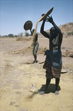 SUDAN, South Darfur, Farming, Masalit women winnowing millet.  The Masalit people primarily make