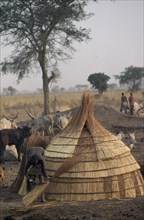 SUDAN, Traditional Housing, Thatching hut in Dinka cattle camp.