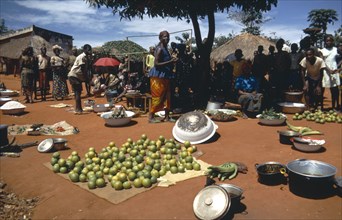 CENTRAL AFRICAN REPUBLIC, Markets, People at market selling fruit and vegtables on the ground with