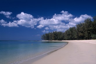 THAILAND, North Phuket, Naiyang Beach, "View along the empty sandy beach with tall trees, a single
