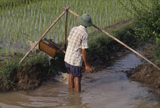 VIETNAM, Farming, Man using water irrigation in paddy
