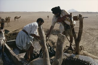 MAURITANIA, water, Men drawing water from desert well with camels in background.