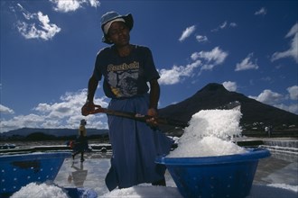 MAURITIUS, Tamarin, Female workers filling salt pans to earn eighty-four ruppees a day.