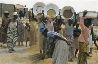 GHANA, Work, Women winnowing rice.