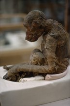 EGYPT, Cairo, Unwrapped mumified monkey in Cairo Museum.