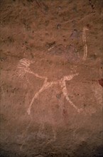 LIBYA, Wadi Auis, Detail of prehistoric rock art depicting ostrich.