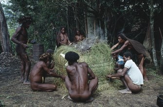 INDONESIA, Irian Jaya, Baliem Valley, Dani Villagers wrapping a traditional steam oven in grass for