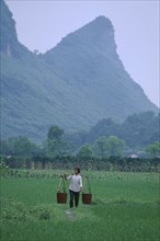 CHINA, Guangxi Province, Yangshuo, Woman working in rice paddies in distinctive karst limestone