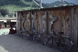CHINA, Gansu Province, Xiahe, Leopard skins smuggled from India or Nepal hanging on the side of a