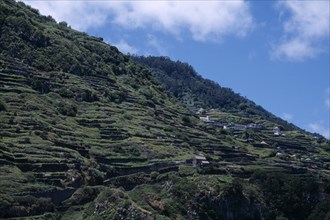 PORTUGAL, Madeira, Buildings built on terraced hillside seen from the North coast road