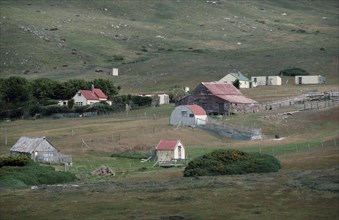FALKLAND ISLANDS, Carcass Island, Settlement of houses