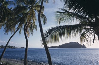 DOMINICA, South, Scotts Head, Shoreline and bay with palm trees in foreground.