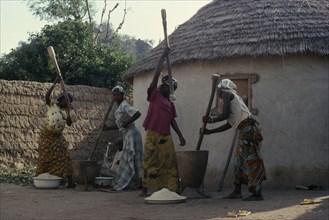 NIGERIA, Food preparation , "Women pounding grains or pulses outside thatched, mud hut."