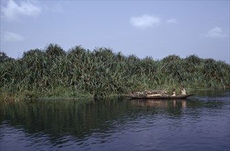 NIGERIA, Sapele, Woman and children in canoe carrying wood on the River Ethiope.