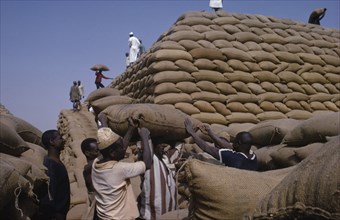 NIGERIA, Kano, Workers building pyramid of sacks of ground nuts.